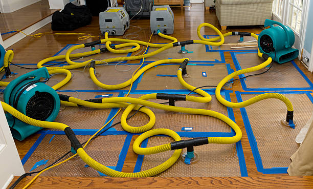 Professional Storm Water Damage Restoration technician working in Gasquet, CA
